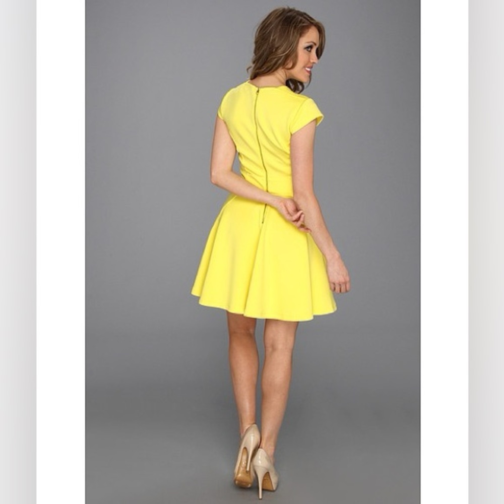 Ted Baker ⚜️ Tezz Skater Dress